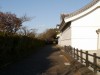 関宿城博物館の写真のサムネイル写真13