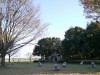 関宿にこにこ水辺公園の写真のサムネイル写真4